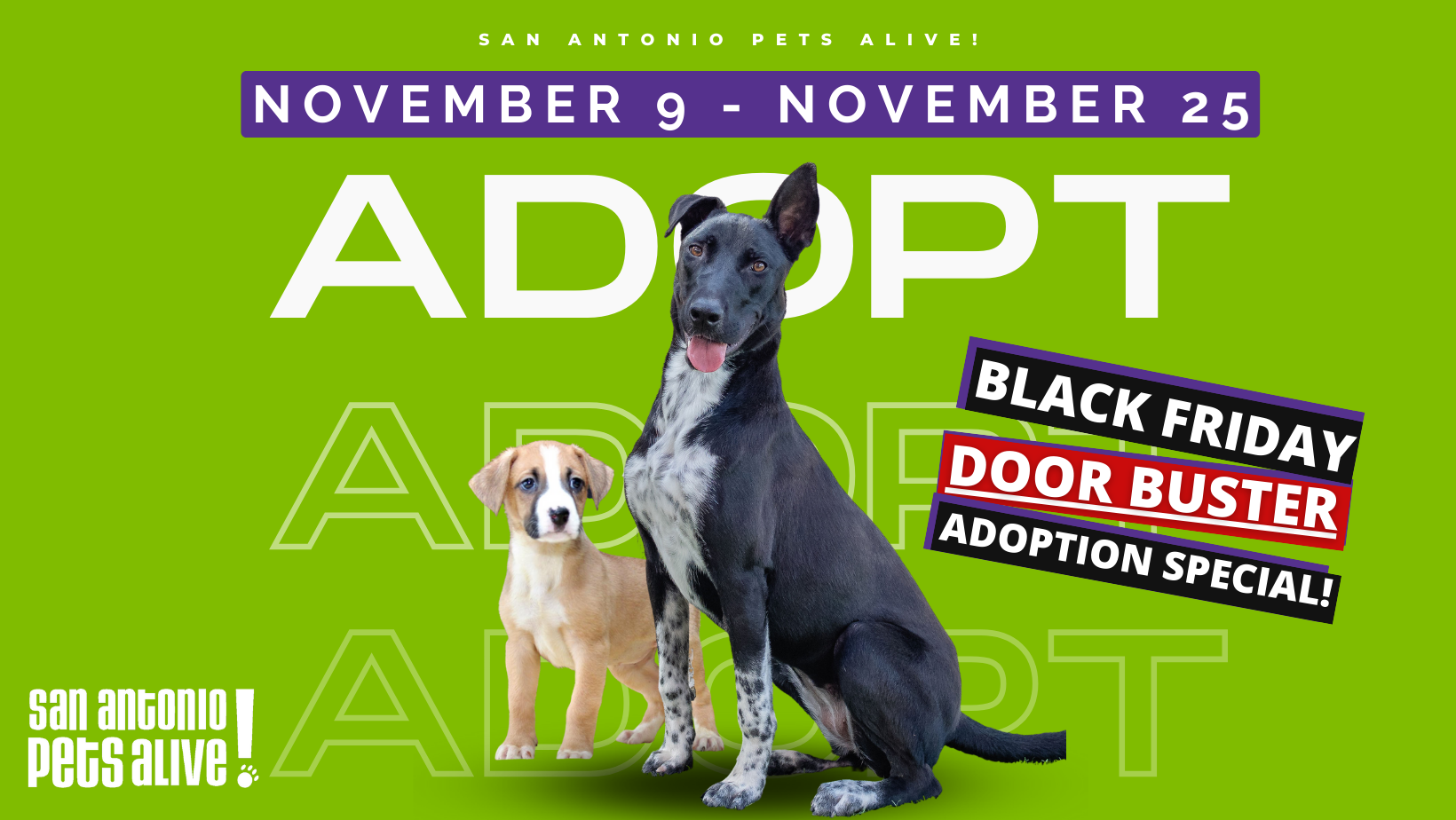 Black Friday Door Buster Adoption Special!